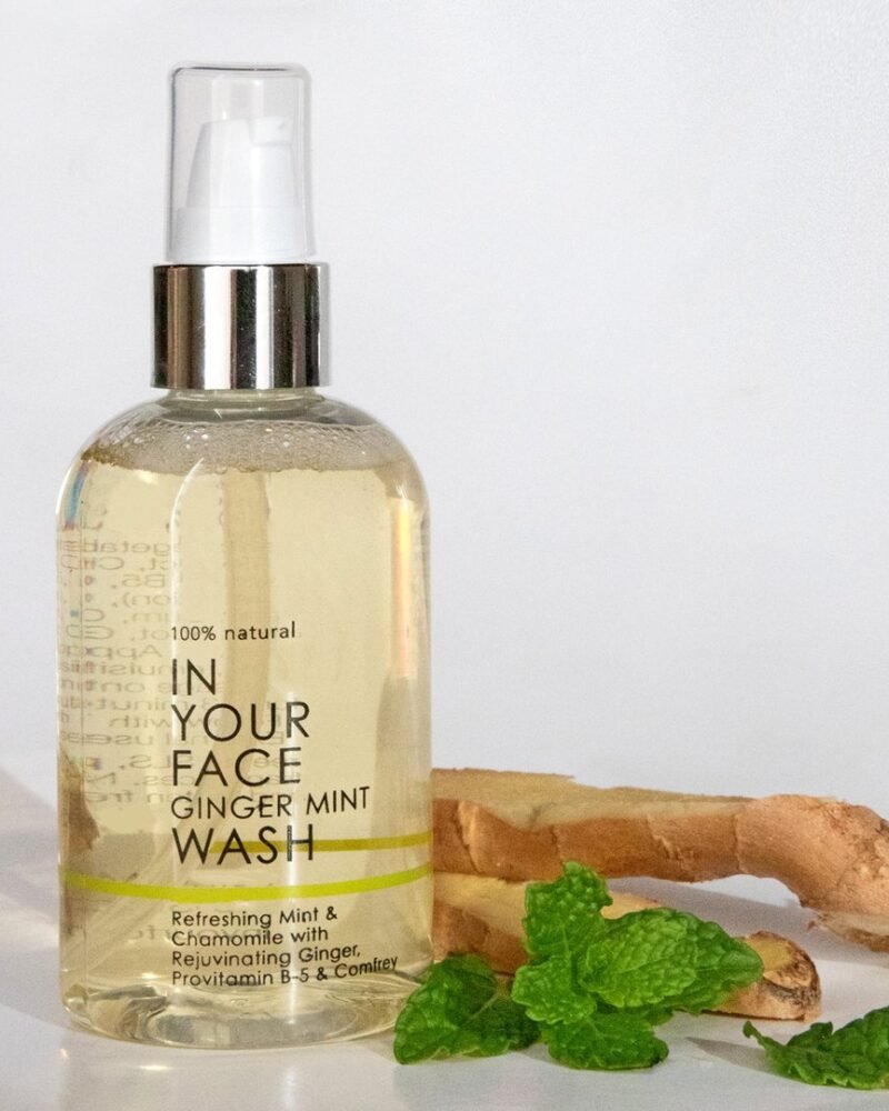 In Your Face GINGER MINT WASH